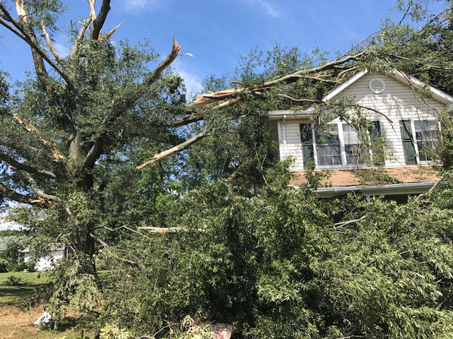 Tree limbs lay on the roof of a home in Stevensillve, Maryland, after a violent storm tore through the Queen Anne's County community early Monday morning. (WTOP/Steve Dresner)