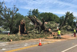 Works remove portions of a downed tree in Stevensville, Maryland on Monday, July 24, 2017. (WTOP/Steve Dresner)