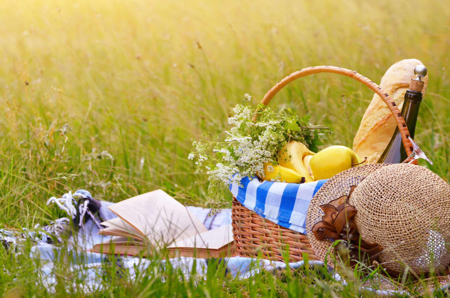 Picnic basket with fruits wine and bread on the grass with book and hat