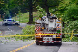 Loughboro Road NW blocked at Glenbrook Road by a downed tree, pole and wires after Saturday's storm on July 22, 2017. (WTOP/Dave Dildine)