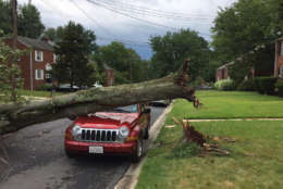 A tree down on a car in Wheaton, Maryland. (Courtesy Richard Johnson)