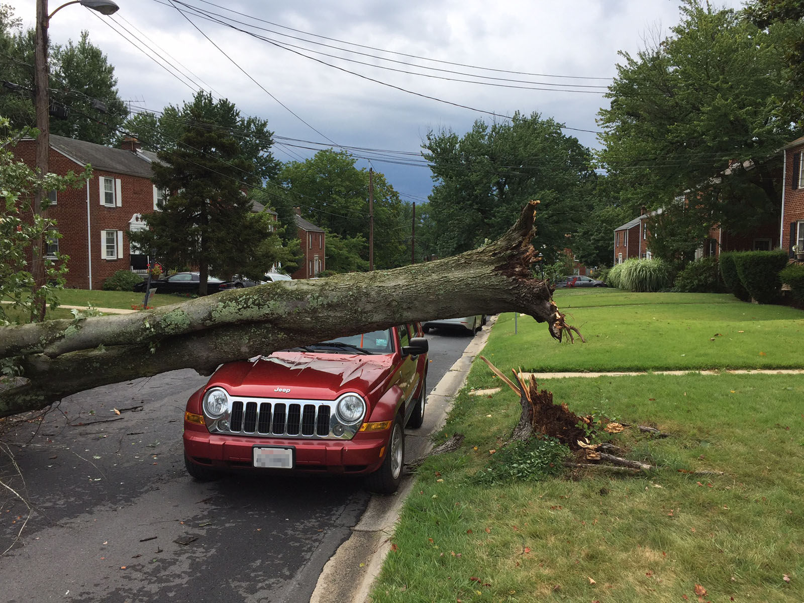 A tree down on a car in Wheaton, Maryland. (Courtesy Richard Johnson)