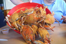 Photo shows a plate of steamed crabs