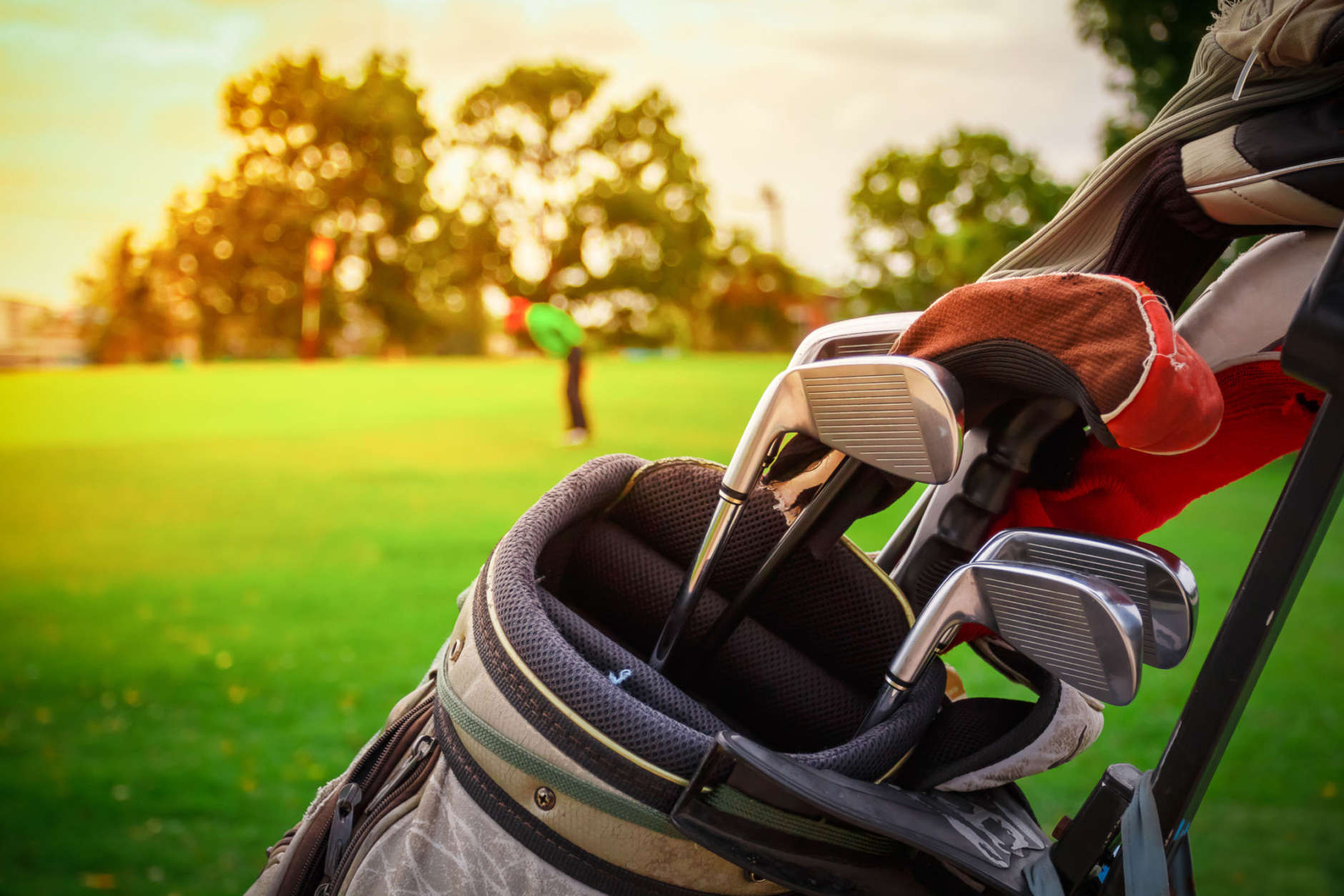 closeup old golf bags on green