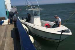 The smaller Contender is used by the OCEARCH team to catch sharks and tag them. (WTOP/Michelle Basch)