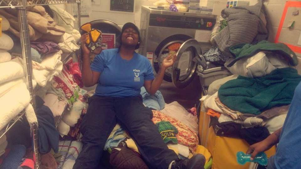 A Humane Rescue Alliance employee sits atop the donations that fill a room at the New York Avenue shelter on Saturday, July 31. (Courtesy Humane Rescue Alliance)