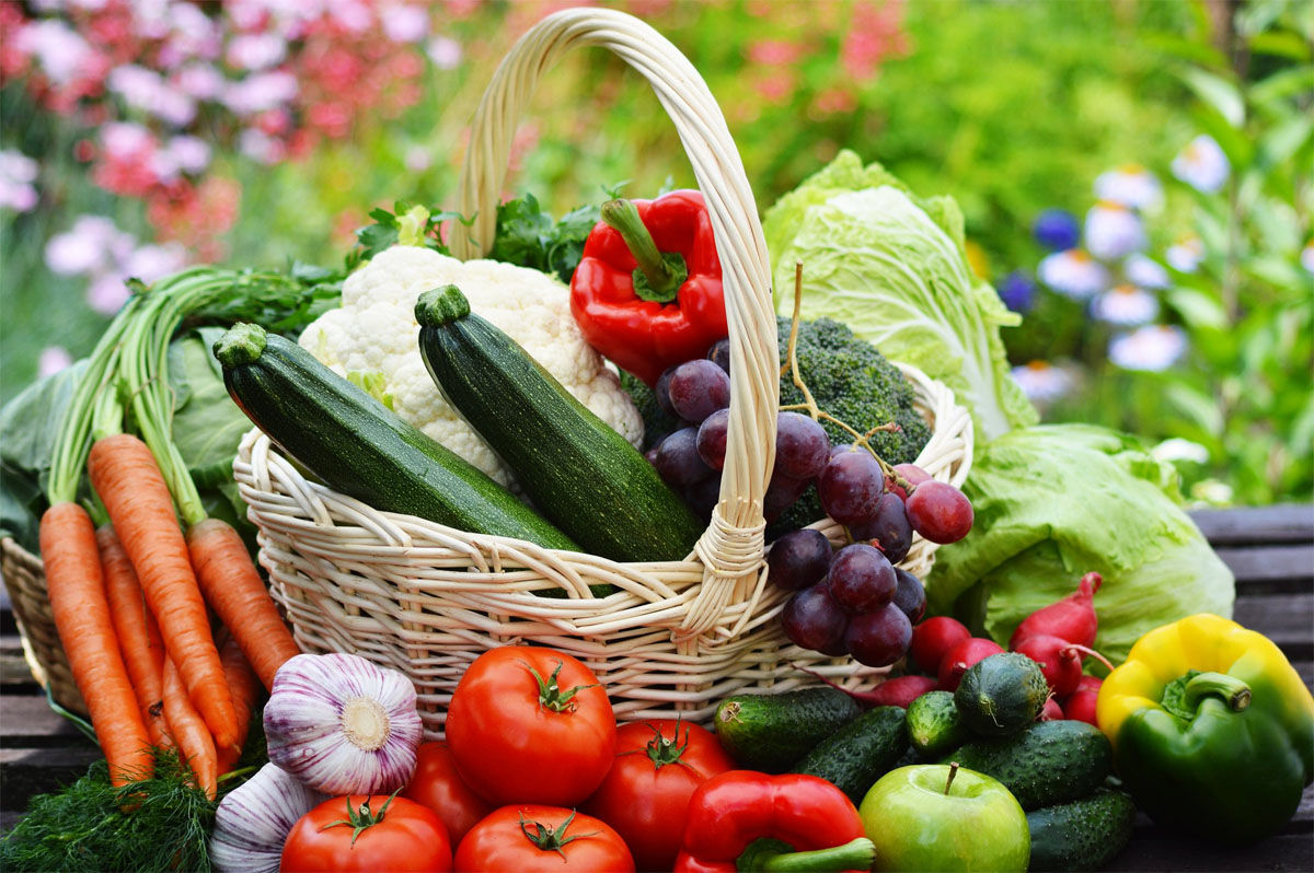 The rooftop farming trend and what it means for your veggies - WTOP News