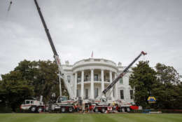 Cranes are positioned in front of the South Portico of the White House in Washington, Friday, Aug. 11, 2017, during renovations while President Donald Trump is spending time at his golf resort in New Jersey. (AP Photo/J. Scott Applewhite)