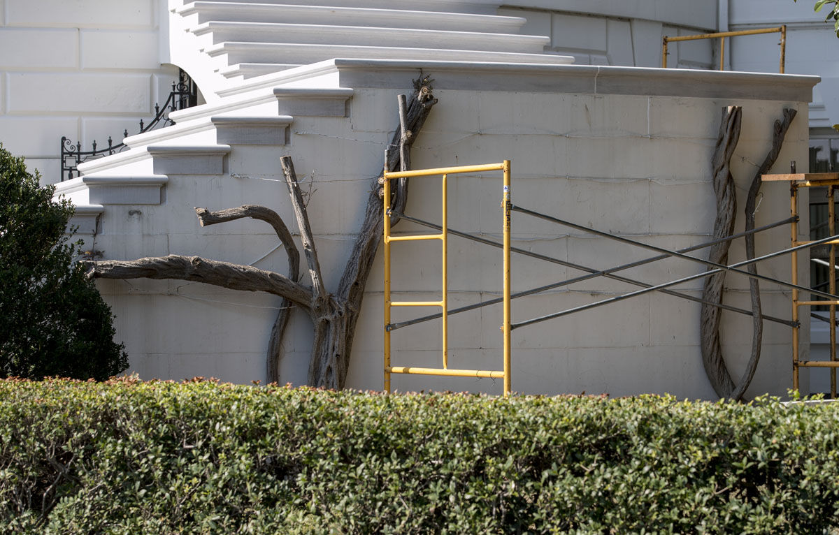 What is left of the wisteria after is was cut back along South Portico's news renovated staircase is seen at the White House in Washington, Tuesday, Aug. 22, 2017, during a media tour. (AP Photo/Carolyn Kaster)