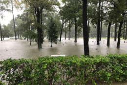 Flooding in the Nottingham Forest section of Houston, including a cemetery and surrounding areas. (WTOP/Steve Dresner)