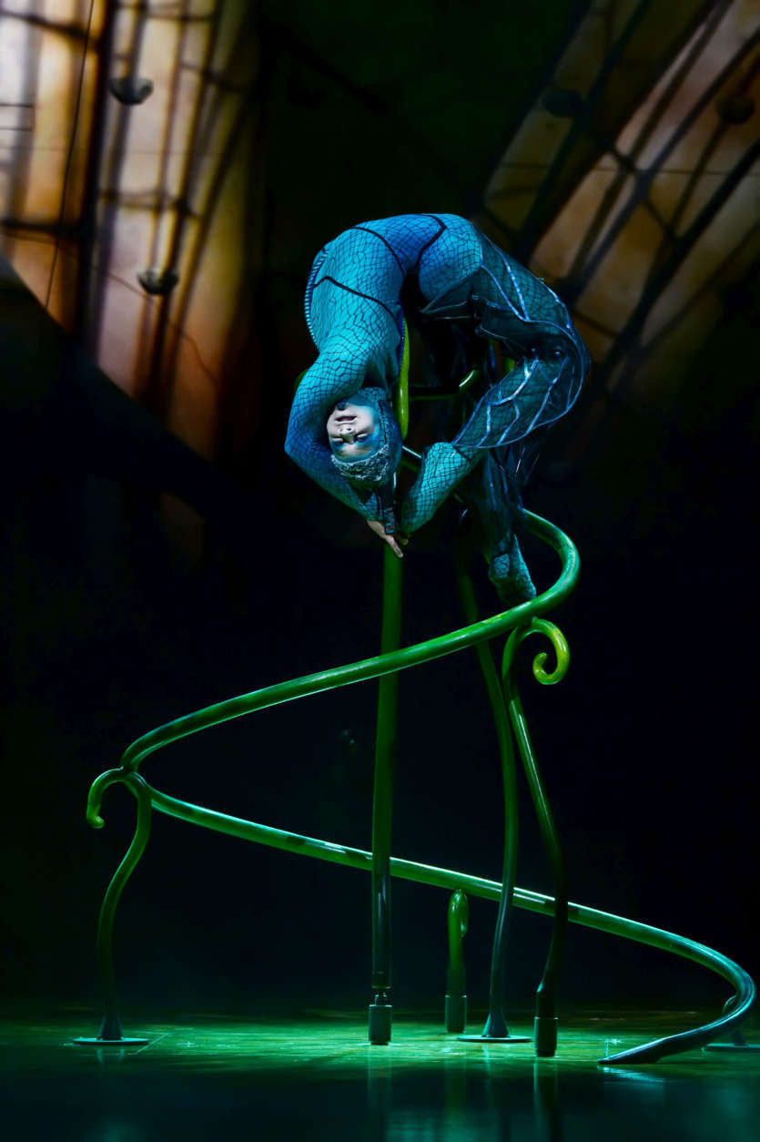Artist Kyle Cragle performs his hand-balancing routine in Cirque du Soleil's "OVO."  (Courtesy Shannon Finney/shannonfinneyphotography.com)