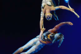 Canadian artists Catherine Audy and Alexis Trudel perform an aerial ballet in Cirque du Soleil's "OVO." (Courtesy Shannon Finney/shannonfinneyphotography.com)