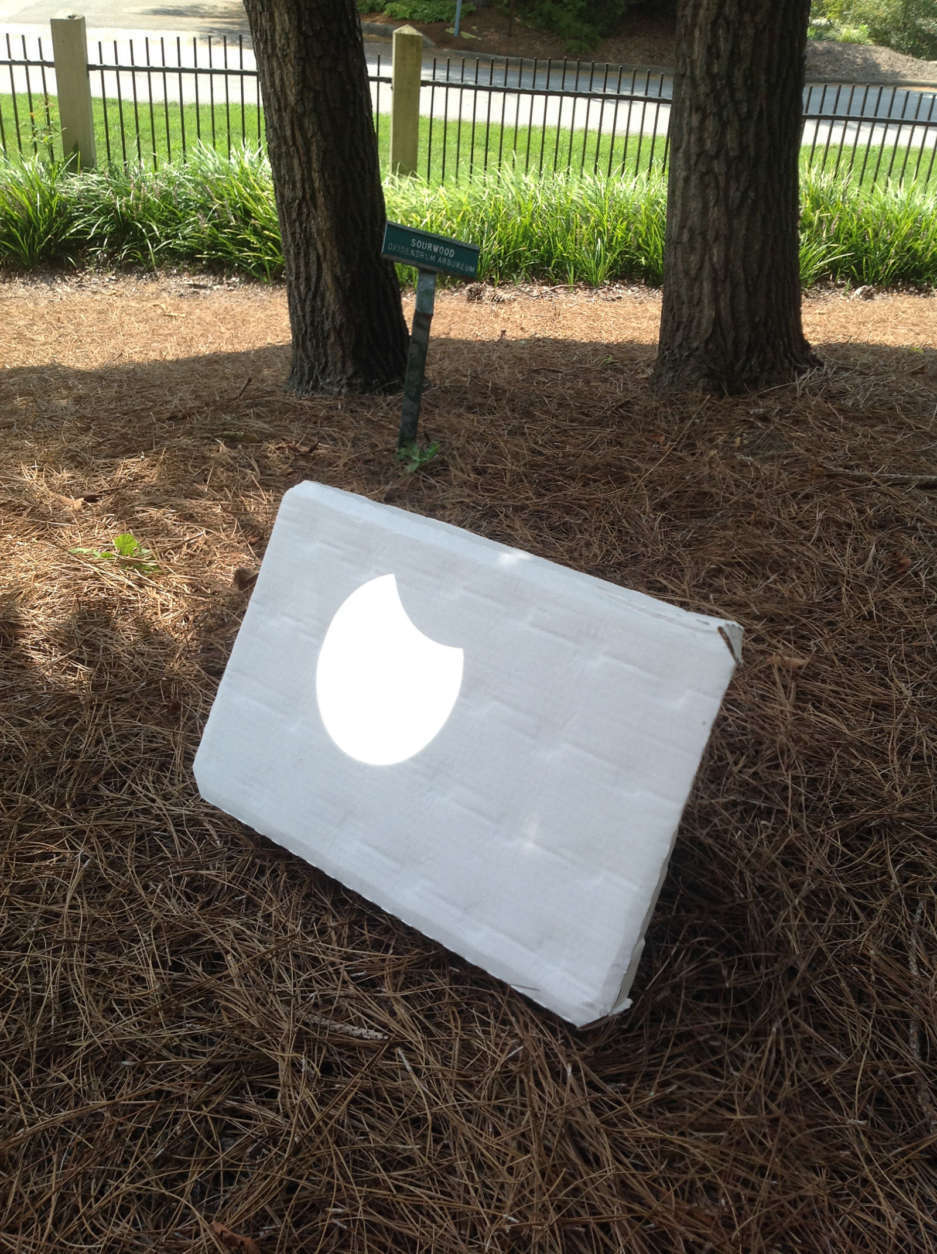 A view of the eclipse from a projected image of the sun from a telescope onto white cardboard in Brevard, North Carolina. (Courtesy Mike Stinneford)
