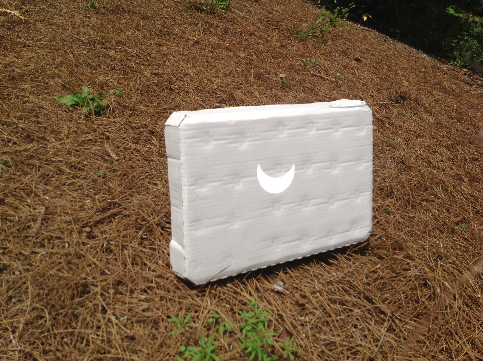 A projected image of the eclipse from a telescope onto white cardboard in Brevard, North Carolina. (Courtesy Mike Stinneford)
