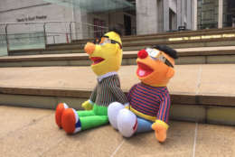 It's not just humans who are looking forward to the eclipse! WTOP's Mike Murillo found this pair of celebrities looking up to the skies outside of Lincoln Center in New York City. (WTOP/Mike Murillo)