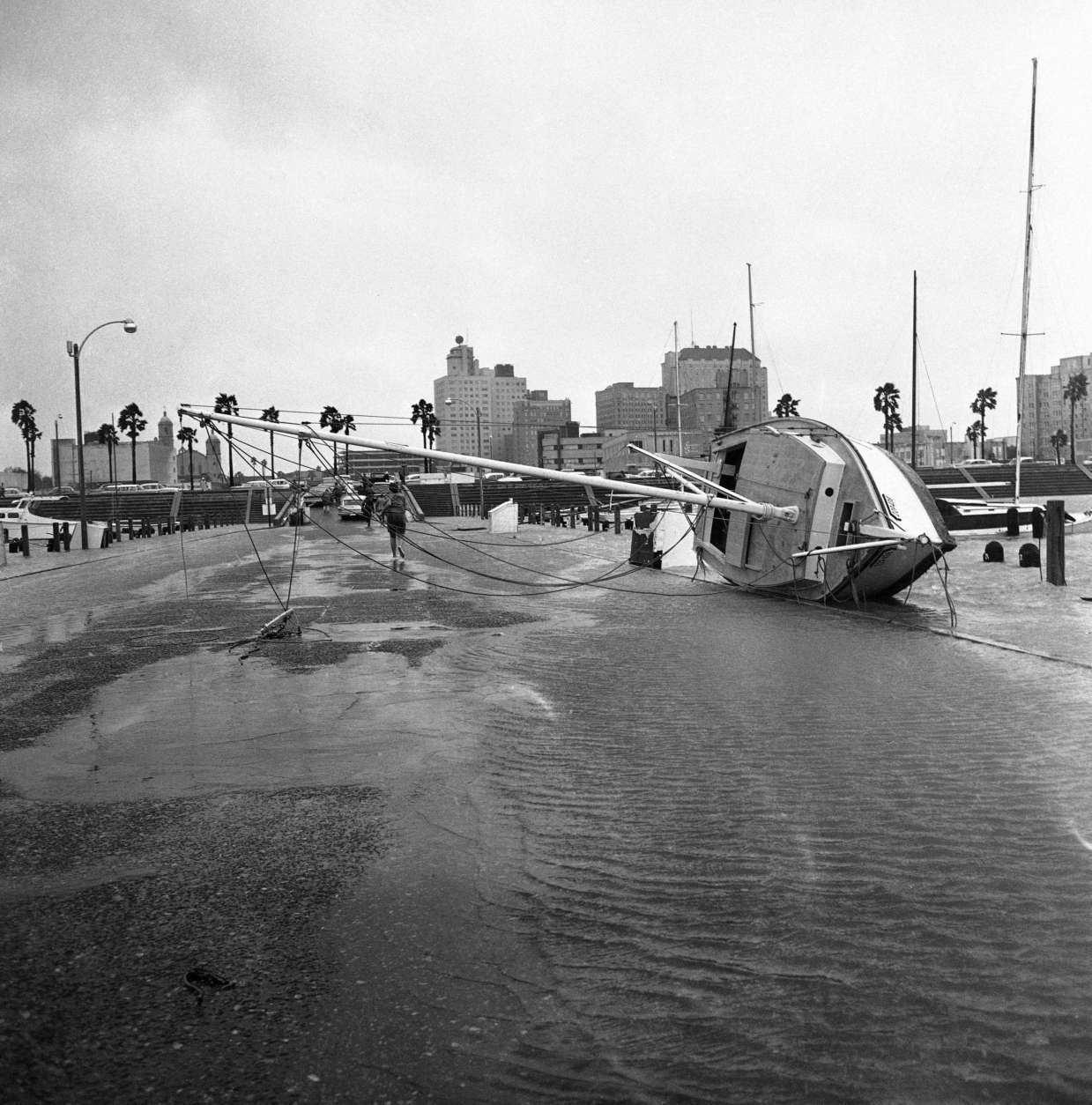 Sail boat rests on its side on a T-Head in Corpus Christi Bay on Sept. 11, 1961. The boat was blown on the pier during the hurricane winds that accompanied hurricane Carla. Downtown Corpus Christi can be seen in the background. (AP Photo/Ferd Kaufman)