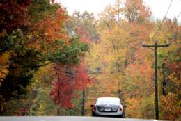 The colors of the fall foliage in Connecticut are just beginning to show such as here along Connecticut Route 64, in Woodbury, Conn., Thursday, Oct. 12, 2006. The foliage is expected to peak between Oct. 20-25.  (AP Photo/Bob Child)