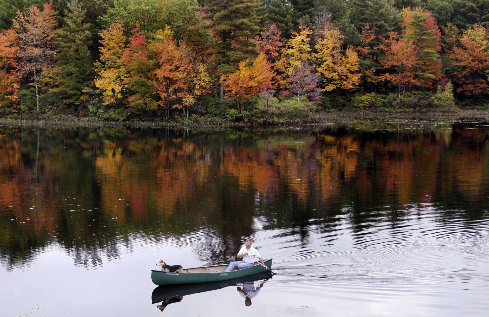 With trees showing their fall foliage colors, Peter Sterrett of Tiverton, R.I., paddles with his dog Cody on a pond in Derry, N.H., Sunday mornin, Oct. 4, 2009. (AP Photo/Charles Krupa)