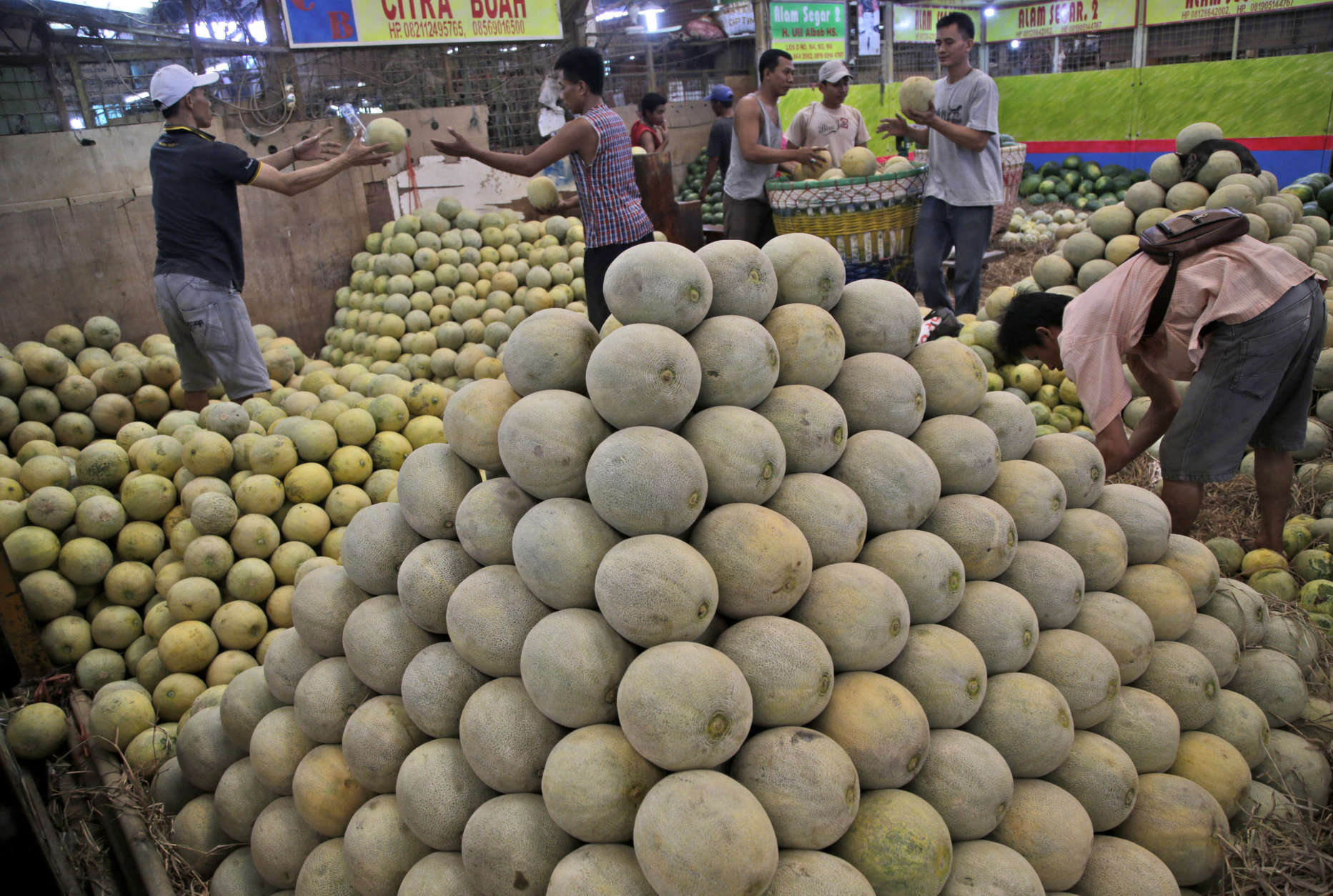 Vendors sort melons at Kramat Jati Market in Jakarta, Indonesia, Tuesday, May 10, 2016. Kramat Jati is the largest traditional market in the capital. (AP Photo/Tatan Syuflana)