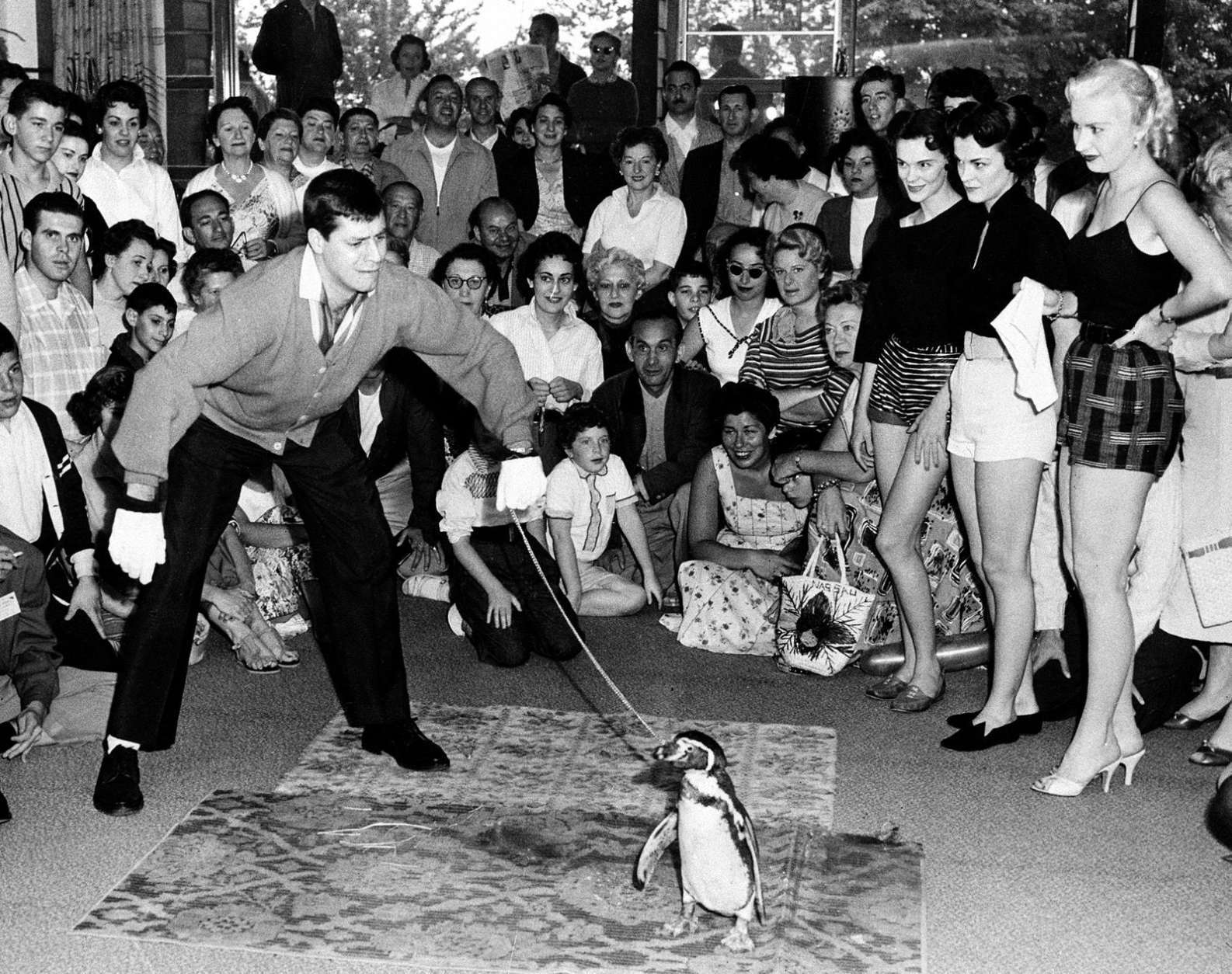 Actor-comedian Jerry Lewis and Wilbur the Penguin perform for an audience at Brown's Hotel in Sheldrake, N.Y., in June 1955.  The three Fed Astaire dance hostesses standing nearby are Laurie Cabot, far right, and the Borrowes twins.  (AP Photo/Irving Desfor)