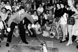 Actor-comedian Jerry Lewis and Wilbur the Penguin perform for an audience at Brown's Hotel in Sheldrake, N.Y., in June 1955.  The three Fed Astaire dance hostesses standing nearby are Laurie Cabot, far right, and the Borrowes twins.  (AP Photo/Irving Desfor)