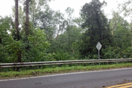 Damage along Va. Route 55 in western Prince William County from severe weather on August 11, 2017. (WTOP/Dennis Foley) 