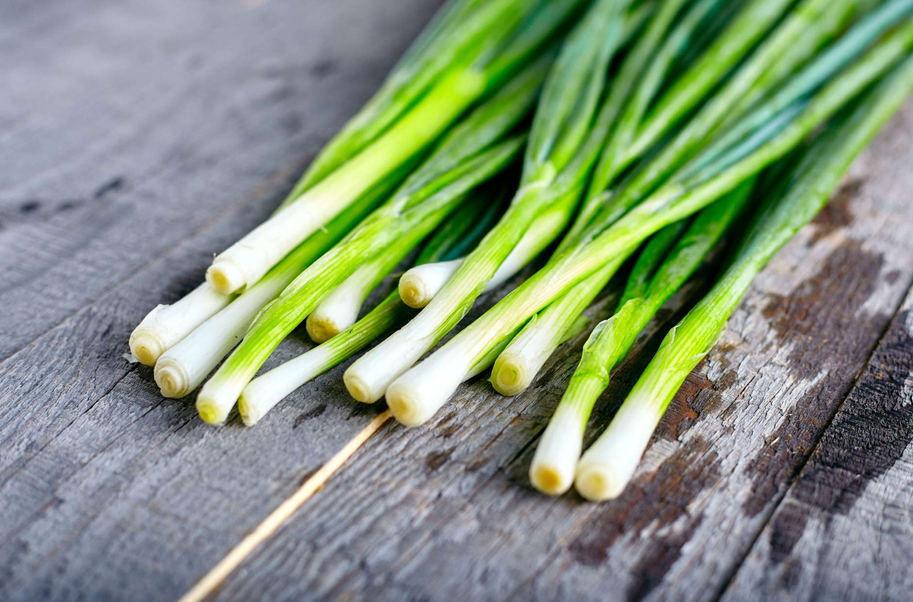 Bunch of fresh green onions on dark or neutral wooden background