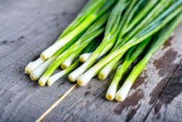 Bunch of fresh green onions on dark or neutral wooden background