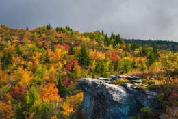 Autumn In The Blue Ridge