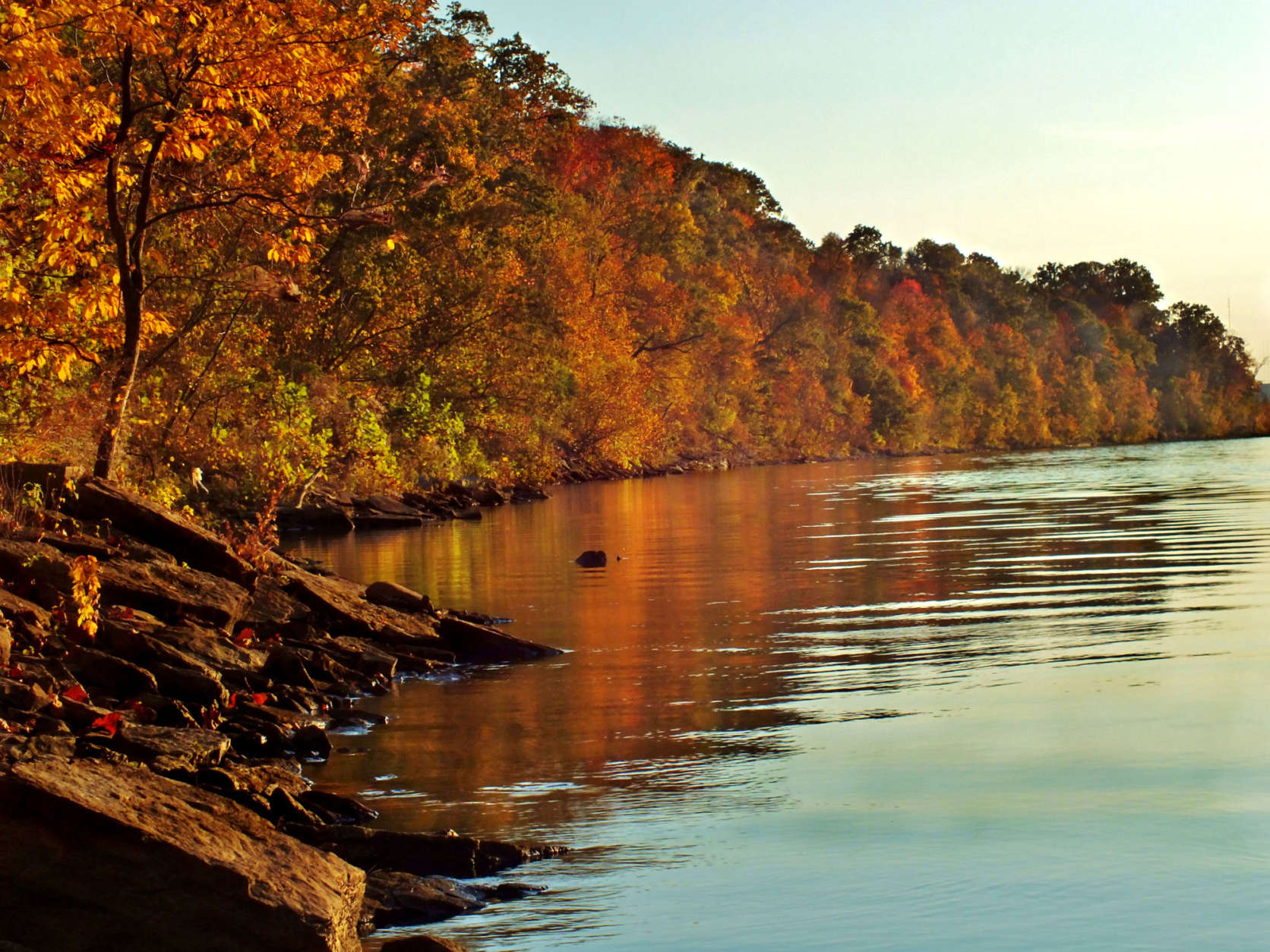 Shoreline of Cumberland river from Shelby Bottoms Greenway just under the Pedestrian bridge