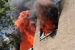 Flames erupt out a window Saturday at a Columbia Pike high-rise. (Courtesy Arlington Fire)