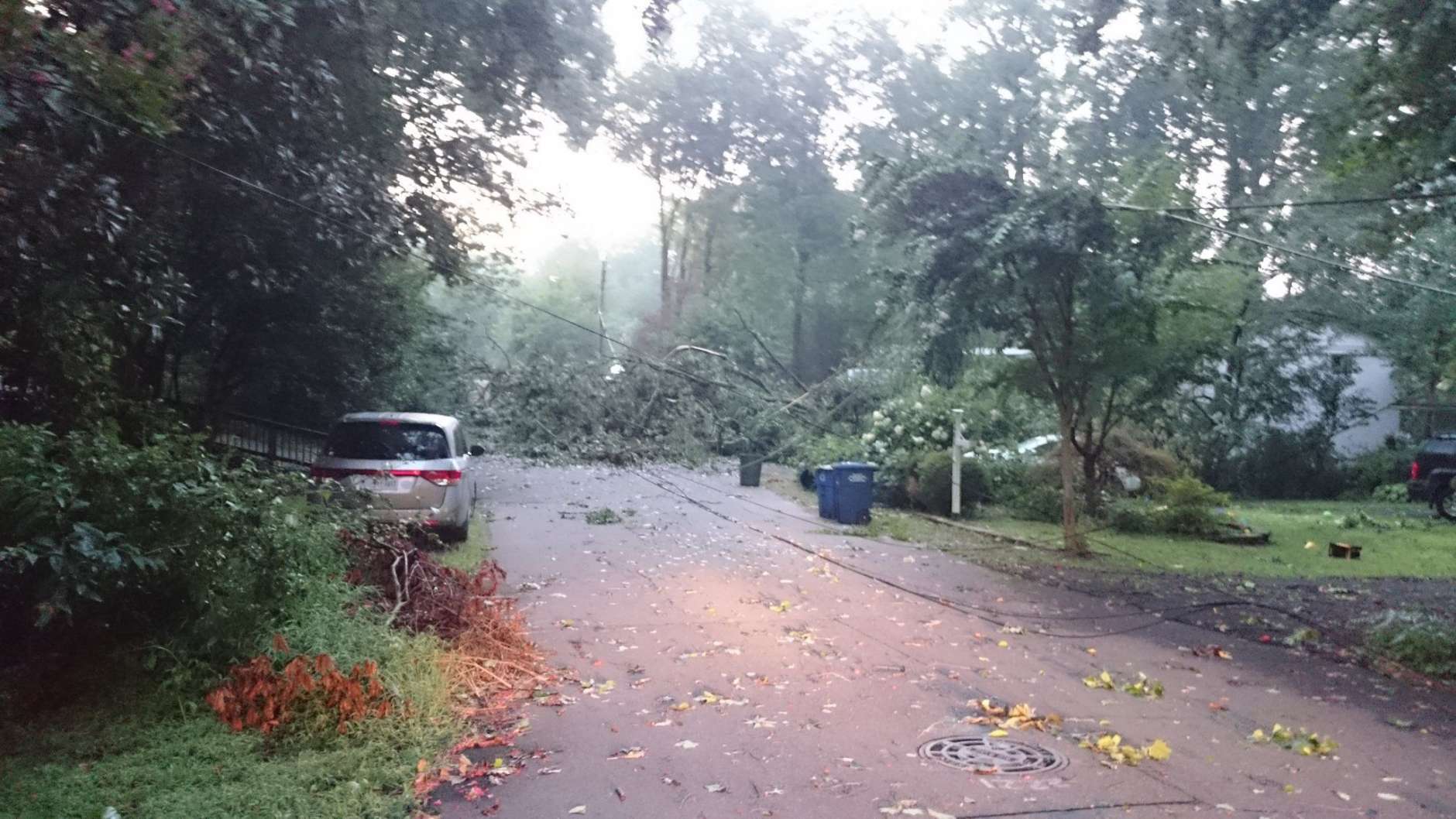 A downed tree pulls on wires near Lake Barcroft Friday morning. (WTOP/Dennis Foley)