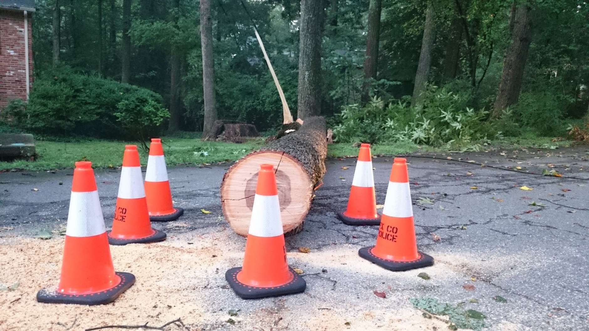 Cones are placed around this down tree in Virginia. (WTOP/Dennis Foley)
