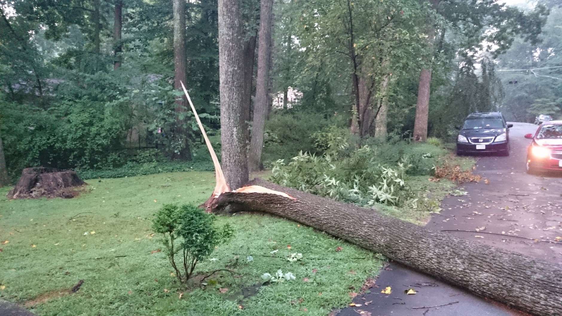 Storms snapped a tree near its base in Virginia. (WTOP/Dennis Foley)