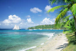 Caribbean, Grenadines, Britannia Bay, Mustique, View of a beach