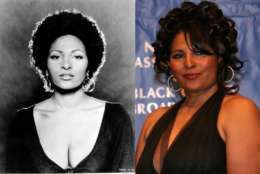 This weekend, Golden Globe nominee Pam Grier hits a pair of D.C. events, first to be honored at the "Salute Her Awards Luncheon" at the Marquis Marriott at 11 a.m. Friday, then a meet-and-greet at the Ubiquitous Expo at the Washington Convention Center at 1 p.m. Saturday. (WTOP collage via AP)