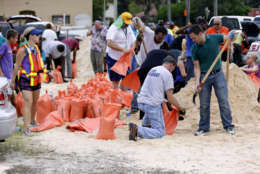 Orlando city employees and volunteers fill sandbags for residents as they prepare for Hurricane Irma, Friday, Sept. 8, 2017, in Orlando, Fla. Lines of vehicles stretched for miles and many waited several hours to get the sandbags. (AP Photo/John Raoux)
