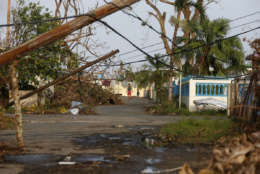 A man and child walk down street strewn with debris and downed power lines in the aftermath of Hurricane Maria, in Yabucoa, Puerto Rico, Tuesday, Sept. 26, 2017. Governor Ricardo Rossello and Resident Commissioner Jennifer Gonzalez, the islandâ€™s representative in Congress, have said they intend to seek more than a billion in federal assistance and they have praised the response to the disaster by President Donald Trump, who plans to visit Puerto Rico next week, as well as FEMA Administrator Brock Long.  (AP Photo/Gerald Herbert)