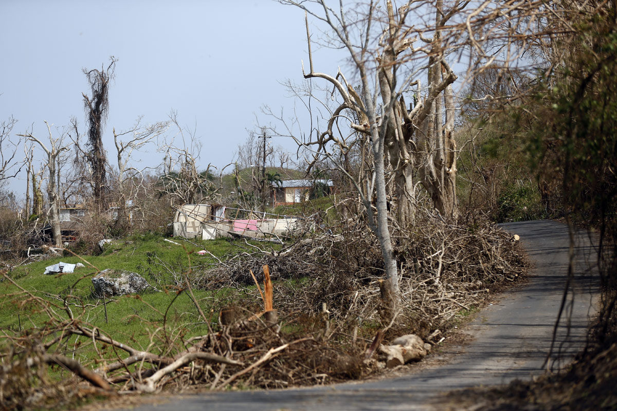 A scene of destruction, which is typical of damage across much of Puerto Rico, in Montebello, Puerto Rico, in the aftermath of Hurricane Maria, Tuesday, Sept. 26, 2017. (AP Photo/Gerald Herbert)