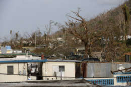 Damaged homes and trees are seen in the aftermath of Hurricane Maria, in Yabucoa, Puerto Rico, Tuesday, Sept. 26, 2017. Governor Ricardo Rossello and Resident Commissioner Jennifer Gonzalez, the islandâ€™s representative in Congress, have said they intend to seek more than a billion in federal assistance and they have praised the response to the disaster by President Donald Trump, who plans to visit Puerto Rico next week, as well as FEMA Administrator Brock Long.  (AP Photo/Gerald Herbert)