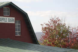 This Thursday, Oct. 30, 2014, photo shows the apple barn at Carter Mountain Orchard in Charlottesville, Va. Dotted by charming small towns from the mountains to the west and the ocean to the east, Virginia is renewing efforts to tap its natural resources to help drive tourism. While summer remains the peak for tourism, state officials are working to shoulder the busier months with increased tourism other times of the year, especially fall, when leaves change from green to orange, yellow and red. (AP Photo/Michael Felberbaum)