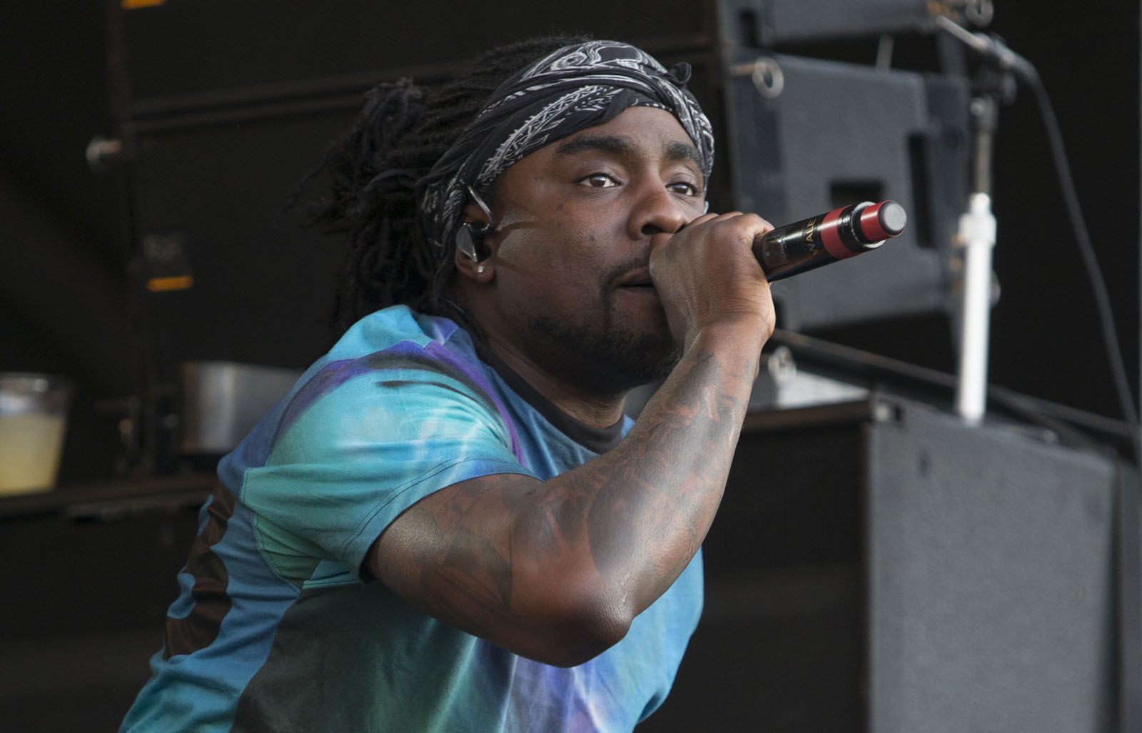 Wale performs on Day 3 of the 2017 Firefly Music Festival at The Woodlands on Saturday, June 17, 2017, in Dover, Del. (Photo by Owen Sweeney/Invision/AP)