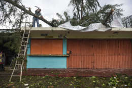 An employee works to remove a felled tree from a rooftop in the aftermath of Hurricane Irma, in Fajardo, Puerto Rico, Thursday, Sept. 7, 2017. Irma cut a path of devastation across the northern Caribbean, leaving at least 10 dead and thousands homeless after destroying buildings and uprooting trees. More than 1 million people in Puerto Rico are without power. (AP Photo/Carlos Giusti)