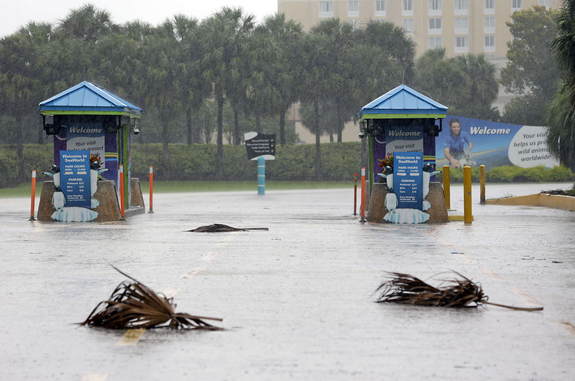 The entrance to the Sea World of Orlando is closed because of Hurricane Irma, Sunday, Sept. 10, 2017, in Orlando, Fla. Other tourists attractions including Universal Studios and Disney World were also closed and planned to reopen Tuesday. (AP Photo/John Raoux)