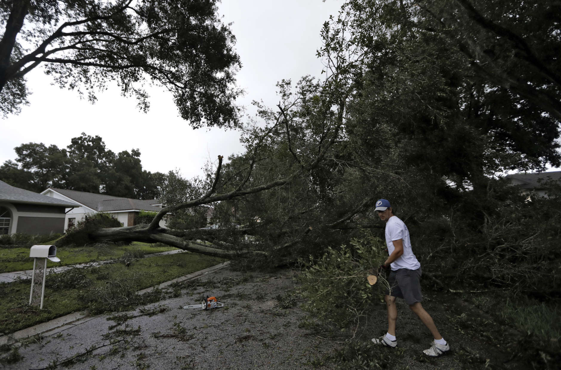 Brian Baker, of Valrico, Fla., cuts up an Oak tree that fell across Falling Leaves Drive after Hurricane Irma passed through the area, Monday, Sept. 11, 2017, in Valrico, Fla. (AP Photo/Chris O'Meara)