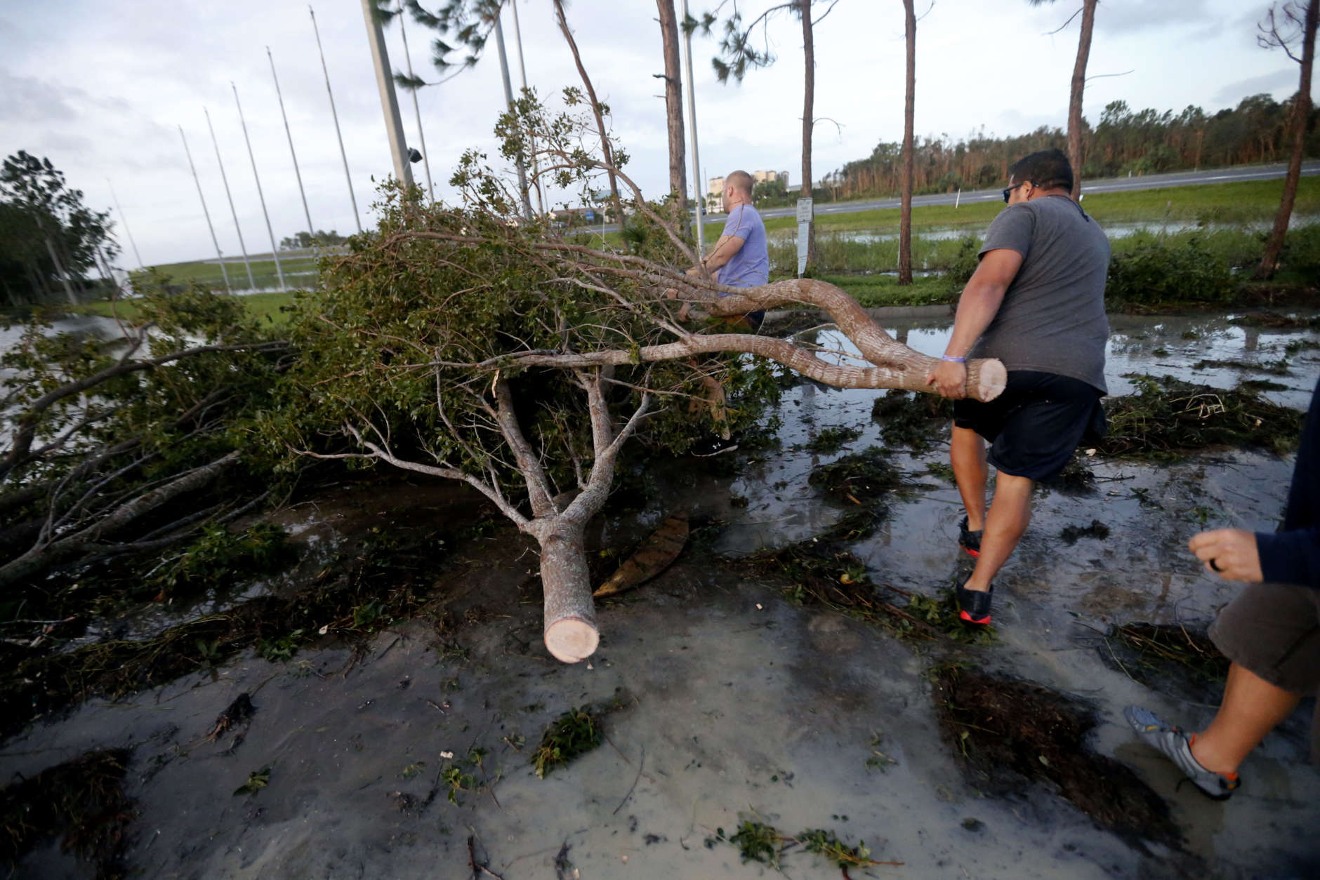 Members of the Estero Fire Department clear trees blocking roadways on their way to work, in the aftermath of Hurricane Irma, which passed through yesterday, in Estero, Fla., Monday, Sept. 11, 2017. (AP Photo/Gerald Herbert)