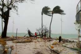 People walk by a fallen tree off the shore of Sainte-Anne on the French Caribbean island of Guadeloupe, early Tuesday, Sept. 19, 2017, after the passing of Hurricane Maria. (AP Photo/Dominique Chomereau-Lamotte)