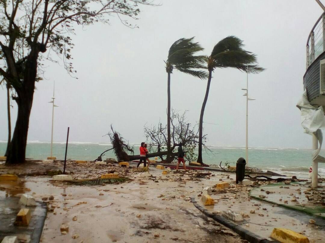 People walk by a fallen tree off the shore of Sainte-Anne on the French Caribbean island of Guadeloupe, early Tuesday, Sept. 19, 2017, after the passing of Hurricane Maria. (AP Photo/Dominique Chomereau-Lamotte)