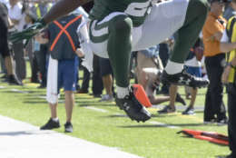New York Jets' Bilal Powell (29) rushes for a touchdown during the second half of an NFL football game against the Miami Dolphins Sunday, Sept. 24, 2017, in East Rutherford, N.J. (AP Photo/Bill Kostroun)