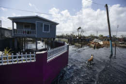Flood water surrounds homes in the Juana Matos community one week after the passing of Hurricane Maria in Catano, Puerto Rico, Thursday, Sept. 28, 2017. The aftermath of the powerful storm has resulted in a near-total shutdown of the U.S. territory’s economy that could last for weeks and has many people running seriously low on cash and worrying that it will become even harder to survive on this storm-ravaged island. (AP Photo/Carlos Giusti)